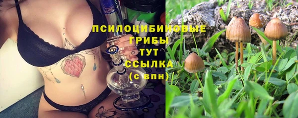 бутират Абаза